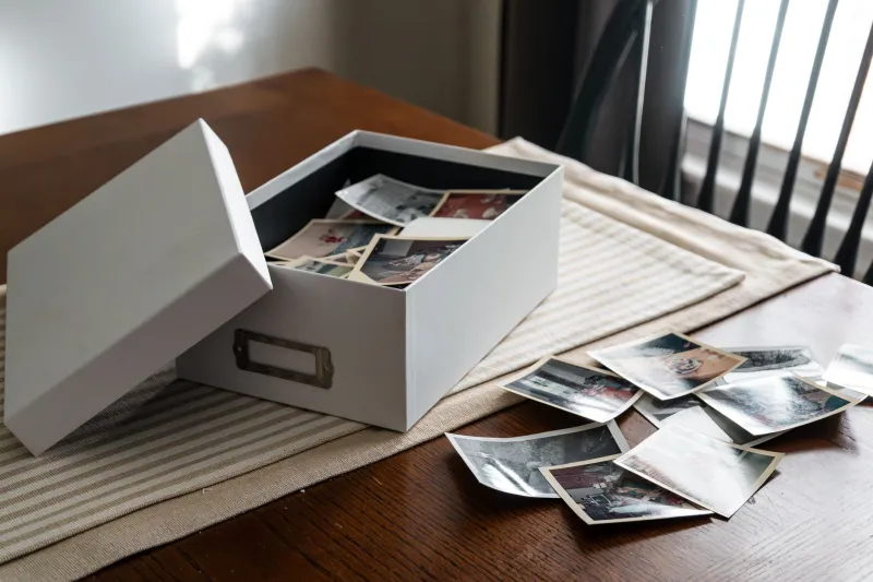 Everything That Ever Mattered: The Everyday Curators Building Museums Inside Their Own Homes