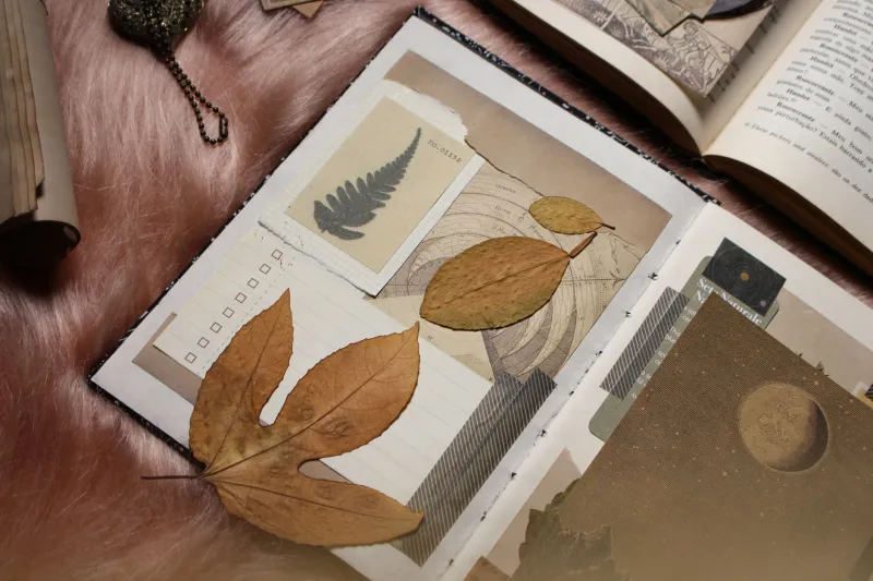 Pages That Hold Everything: The People Who Never Stopped Making Scrapbooks