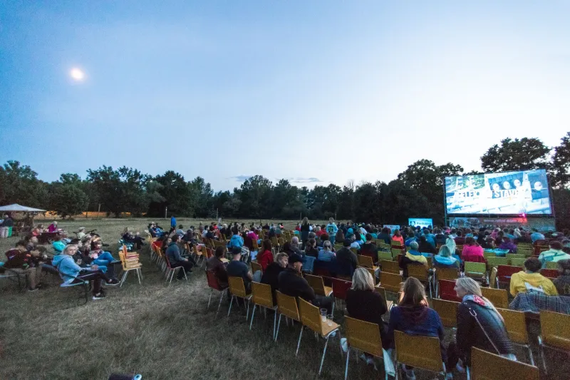 Sky-Sized Screens and Nowhere Else to Be: The Drive-Ins That Became America's Backyard
